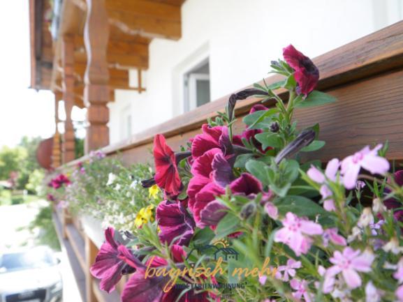 Ihre Ferienwohnung Bayrisch Mehr... Gstadt am Chiemsee Oda fotoğraf